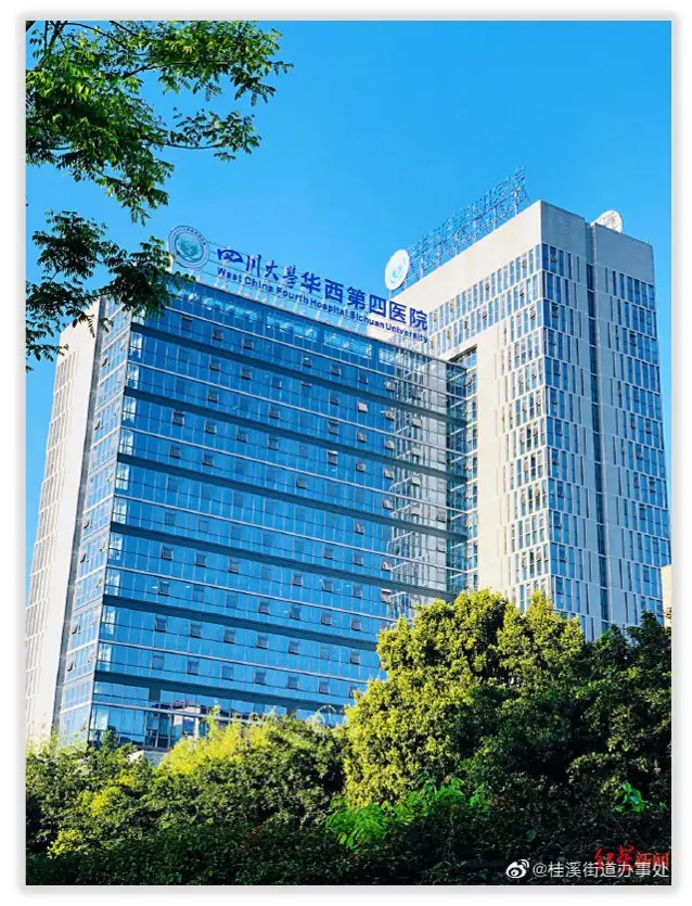 Vesion WiseMDC 系列中国医院数据中心解决方案